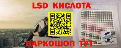 стаф Вязники