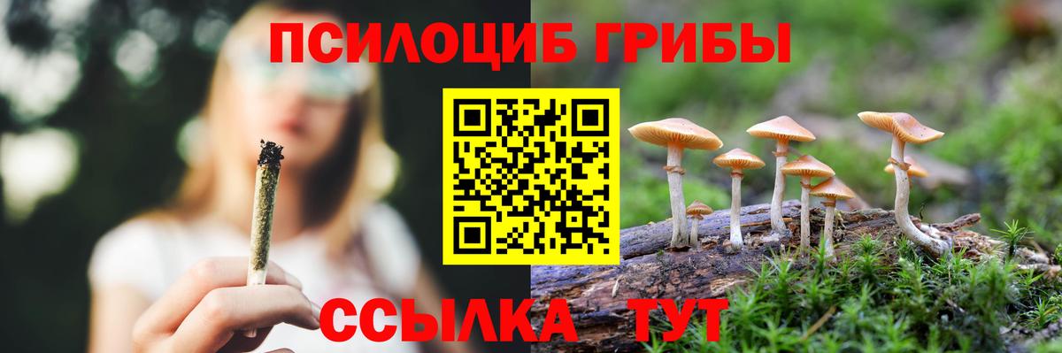 Галлюциногенные грибы MAGIC MUSHROOMS  Вход с VPN  Галлюциногенные грибы мицелий  Новотроицк 