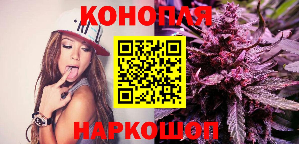 Канабис планчик Новотроицк